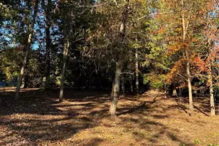 351 Little River Dr, Sparta, NC 28675 - Photo 26