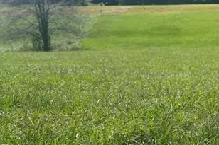 Lot 206 Canterbury Dr, North Wilkesboro, NC 28659 - Photo 1