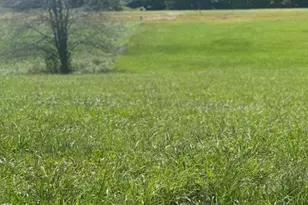 Lot 205 Canterbury Dr, North Wilkesboro, NC 28659 - Photo 1