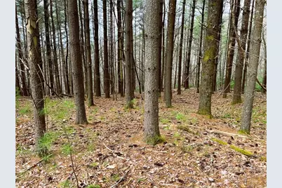 Lot #25 Cedar Ridge Drive, Todd, NC 28684 - Photo 6