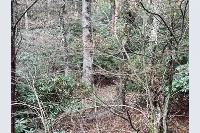 Lot 31 Piedra Road, Blowing Rock, NC 28605 - Photo 1