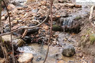 Lot 81 Colby Miller Dr, Jefferson, NC 28640 - Photo 1