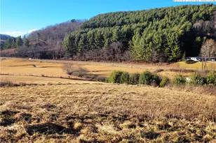 Lot 27 Terra Vista Dr, Laurel Springs, NC 28644 - Photo 1