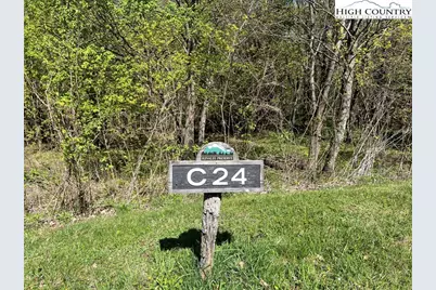 Lots C24 & C33 Buffalo Nvno, Zionville, NC 28698 - Photo 1