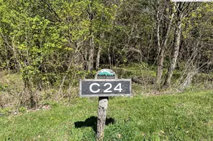 Lots C24 & C33 Buffalo Nvno, Zionville, NC 28698 - Photo 1