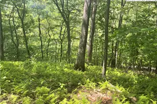 Lot 66 Bob Timberlake Dr, Boone, NC 28607 - Photo 1