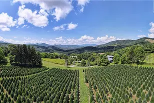 Tbd Shawnee Rd, Banner Elk, NC 28604 - Photo 1