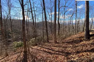 Tbd Tanner Rd, Boone, NC 28607 - Photo 1