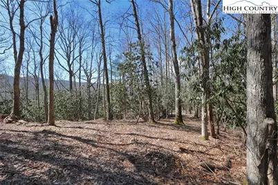 Lots 47 & 48 Abaco Drive, Vilas, NC 28692 - Photo 1