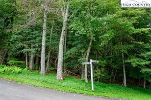 Tbd Meadow View/Lakeview Dr, Roaring Gap, NC 28668 - Photo 1