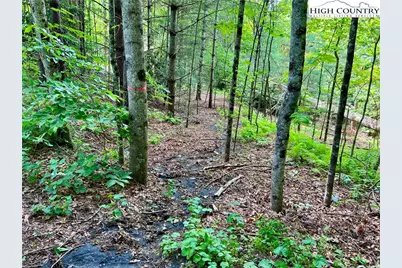 000 Crabtree Woods Road, Spruce Pine, NC 28777 - Photo 1