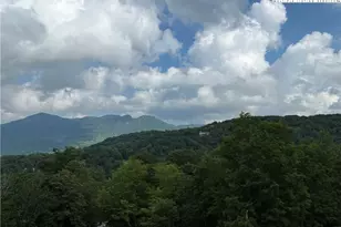 164 Ridgeline Dr, Sugar Mountain, NC 28604 - Photo 1