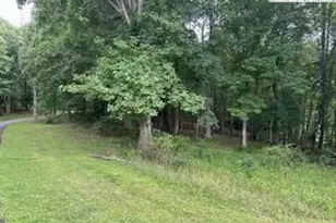 Lot #81 Prime Circle, Piney Creek, NC 28663 - Photo 1