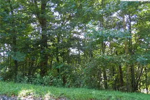 15 Great Sky Dr, Todd, NC 28684 - Photo 1