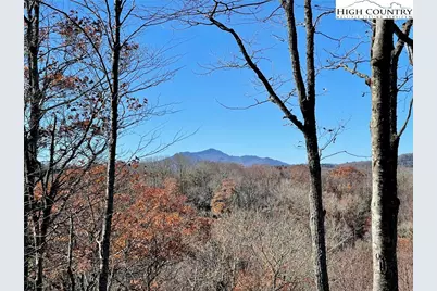 142 Tanglewood Trail, Blowing Rock, NC 28605 - Photo 1