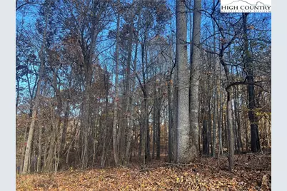 Lots 10 & 11 Candle Street, West Jefferson, NC 28694 - Photo 1