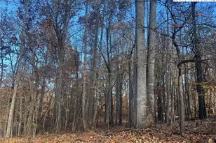 Lots 10 & 11 Candle St, West Jefferson, NC 28694 - Photo 1