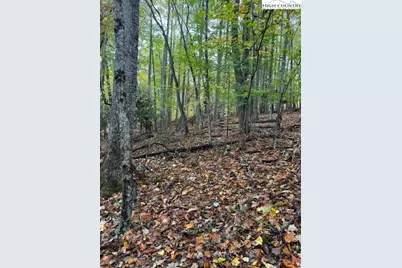 108 Black Birch Lane, Beech Mountain, NC 28604 - Photo 1