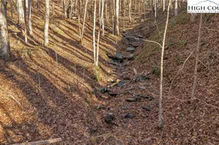 24 25 26 Hidden Light Ln, West Jefferson, NC 28694 - Photo 1