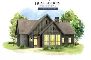 9373 Blackberry Rd, Lenoir, NC 28645 - Photo 1