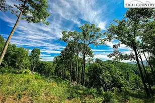 C110 Mossy Bark Trail, Banner Elk, NC 28604 - Photo 1