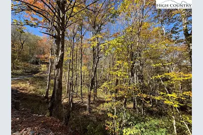 Lot 77 Rock Spring Circle, Sugar Mountain, NC 28604 - Photo 1