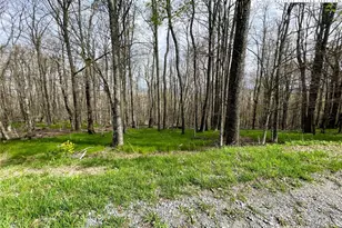 203 Sawmill Branch Rd, Beech Mountain, NC 28604 - Photo 1