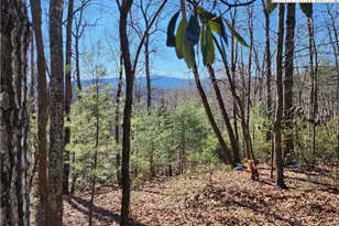 000 Mountain Vista Dr, McGrady, NC 28649 - Photo 1