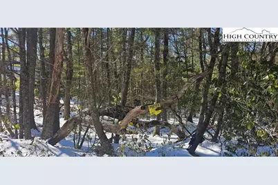 Tbd Little Creek Road, Sparta, NC 28675 - Photo 1