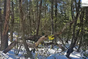 Tbd Little Creek Rd, Sparta, NC 28675 - Photo 1