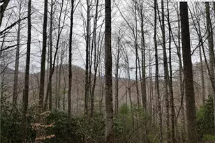 17 Solitude Ln, Todd, NC 28684 - Photo 1