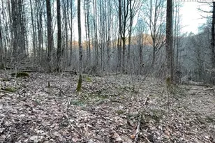 0 Dark Ridge Rd, Elk Park, NC 28622 - Photo 1