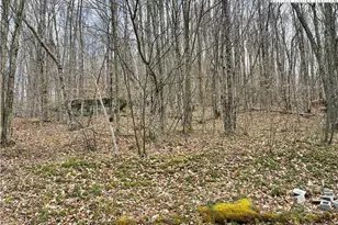 215 Wild Daisy Ln, Beech Mountain, NC 28604 - Photo 1