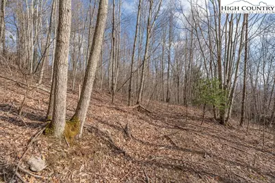Lot 52 Pinnacle Drive, Elk Park, NC 28622 - Photo 1