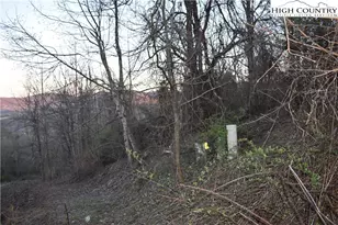 Lot #59 Tom's Knob, Sparta, NC 28675 - Photo 1