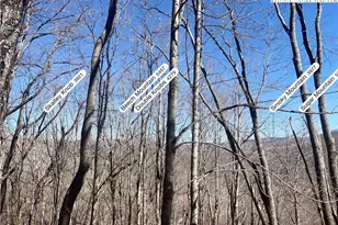 Lot 24 Jewel Weed, Newland, NC 28657 - Photo 1