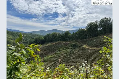 Tbd Leaning Pine Drive, Warrensville, NC 28643 - Photo 1