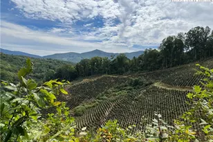 Tbd Leaning Pine Dr, Warrensville, NC 28643 - Photo 1