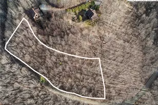 Tbd Silverleaf Rd, Zionville, NC 28698 - Photo 1