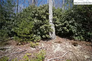 Lot 3 Dream Forest Path, Banner Elk, NC 28604 - Photo 1