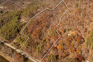 Tbd 321 Hwy, Sugar Grove, NC 38679 - Photo 1