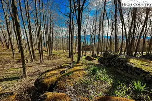 Lot 3 Crestline Ct, Banner Elk, NC 28604 - Photo 1