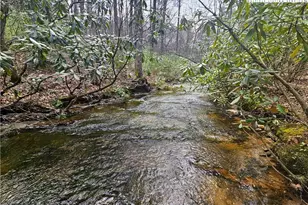 Tbd Ebenezer Rd, Jefferson, NC 28640 - Photo 1