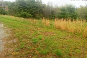 Lot 21 Fox Crest Overlook, Laurel Springs, NC 28644 - Photo 1