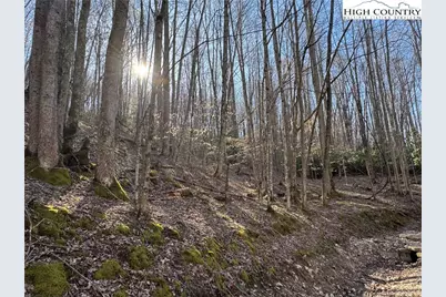 Lot 2 Buckeye Ridge Road, Beech Mountain, NC 28604 - Photo 1