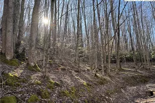 Lot 2 Buckeye Ridge Rd, Beech Mountain, NC 28604 - Photo 1