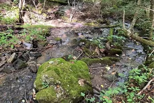 Tbd Double Head Mountain Rd, Newland, NC 28657 - Photo 1