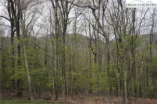 Lot 22 Fairway Ridge Dr, West Jefferson, NC 28694 - Photo 1