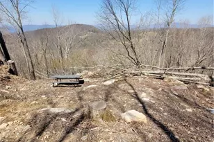 159 W Blueberry Ln, Beech Mountain, NC 28604 - Photo 1