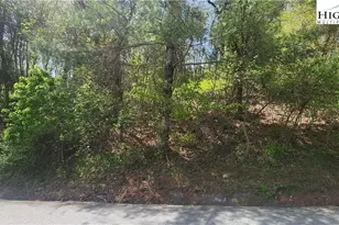 547 White Laurel Ln, Boone, NC 28607 - Photo 1